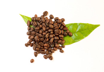 Coffee beans on a white background