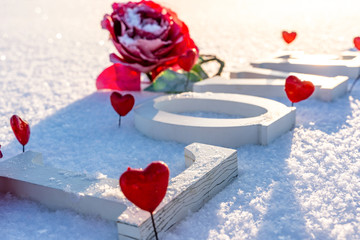Closeup of Isolated Word "Love" from Wood in the Snow on Sunny Winter Day with White Background with Red Heart Decorations and Roses Around it - Concept of Love, Happiness and Joy