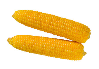 Sweet corn isolated. Boiled corn cob or maize.