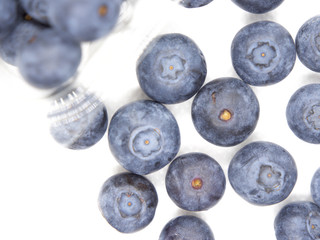 Fresh blue berries isolated on white background
