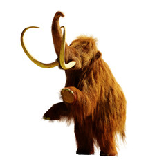 Fototapeta premium mamut włochaty stojący na dwóch nogach, wymarłe prehistoryczne zwierzę izolowane cieniem na białym tle (renderowanie 3d)