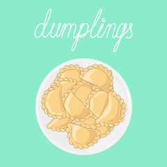 Portion of dumplings (pierogi, varenyky, pelmeni, ravioli) on white plate. Plate of dumplings isolated on background. Polish cuisine. Eastern european cuisine. Vector hand drawn illustration.