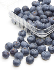 Fresh blue berries isolated on white background