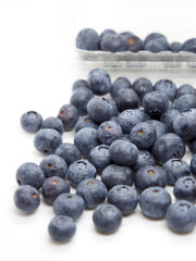 Fresh blue berries isolated on white background