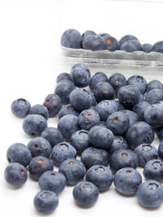 Fresh blue berries isolated on white background