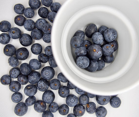 Fresh blue berries isolated on white background