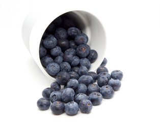 Fresh blue berries isolated on white background