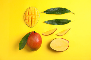 Flat lay composition with ripe mangoes and leaves on color background