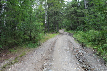 Fototapeta premium the road in the woods of the Ural regional