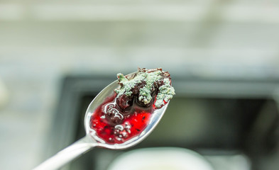  berry jam, fermented, moldy fungus.