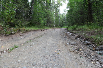 Obraz premium the road in the woods of the Ural regional