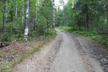 the road in the woods of the Ural regional