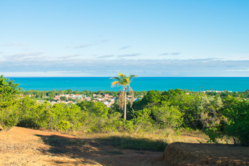 A view of Itamaraca island from a hill - atlantic forest and atlantic ocean in the background (Ilha de Itamaraca, Brazil)
