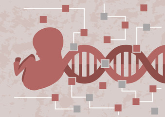 Hacking baby embryo. Decoding the DNA of embryo for checking of the possible mutation or bad genes. DNA of baby embryo is transforming in the circuit of microchips