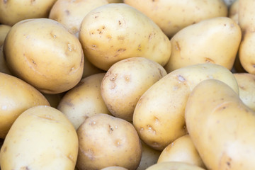 Fresh organic young potatoes in the market