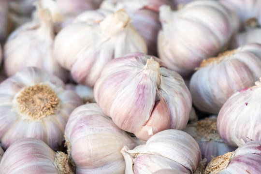 Fresh garlic on market table closeup photo. Vitamin healthy food spice image