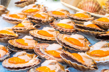 Raw queen scallops selling in the market