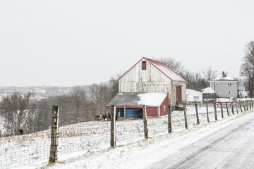 Rural barn and farmhouse in a snow storm