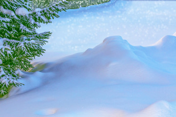  Frozen winter forest with snow covered trees.