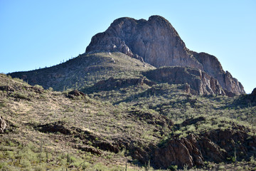 Tucson Mountains 