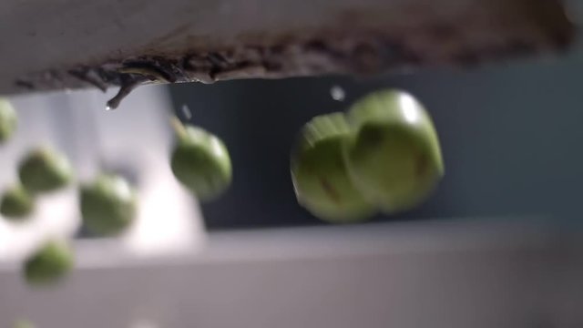 washed olives that fall into the crusher- macro-slow motion