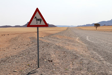 Road with zebra street sign - Namibia Africa