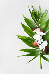 Fresh Coconut pieces on palm leaf on white surface. Exotic botanical concept for cosmetics, spa, perfume, health care organic products, aroma background mockup with copy space. flat lay