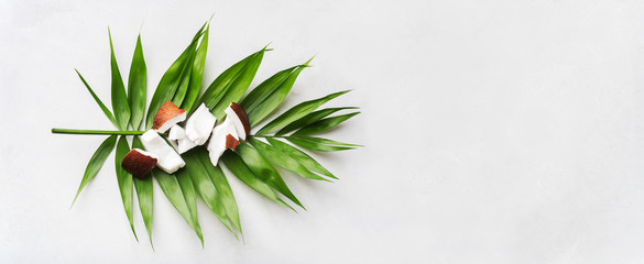 Fresh Coconut pieces on palm leaf on white surface. Exotic botanical concept for cosmetics, spa, perfume, health care organic products, aroma background mockup. Long wide banner with copy space.