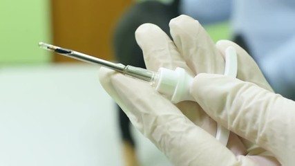 The vet checks the dog of the Pinscher on the microchip. Animal ID