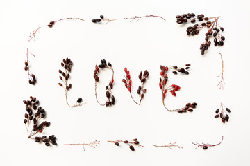 image of a love symbol in the form of a heart made of barberry twigs on a white background