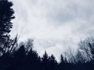 Grey sky