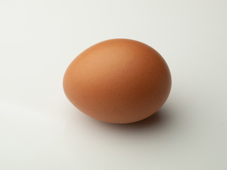 Single egg isolated on white background