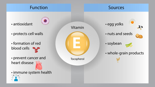 Vitamin E vector design. Vitamin E function and sources. Tocopherol vector