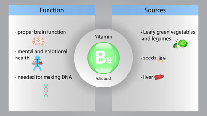 Vitamin B9 vector design. Vitamin B9 function and sources. Folic acid