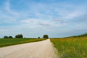 Fototapeta na wymiar Rural country road