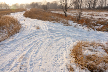 Road in snow in a yellow field in a winter or an autumn day