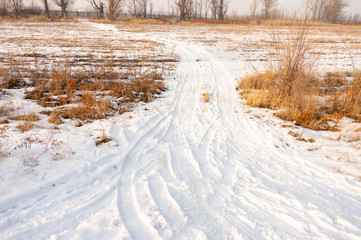 Road in snow in a yellow field in a winter or an autumn day