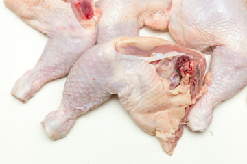 chicken meat on white background