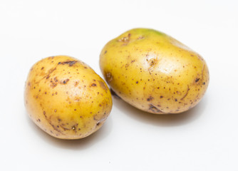 two potatoes on white background