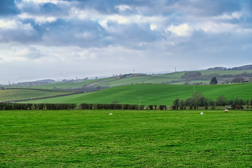 Ayrshire Fields in Scotland as the Rain moves in Over the Far Hillside.