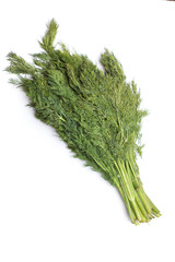dill on white background