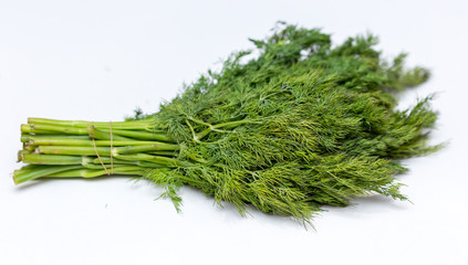 dill on white background