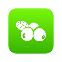 Lingonberry icon green vector isolated on white background