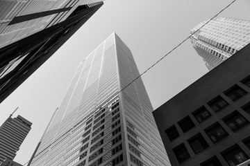 Fototapeta premium skyscrapers in Toronto 