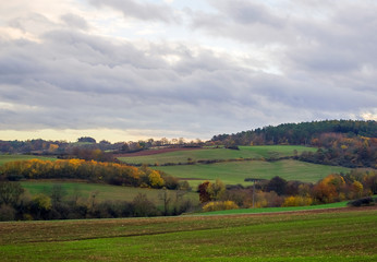 Fototapeta premium Country beautiful landscape.