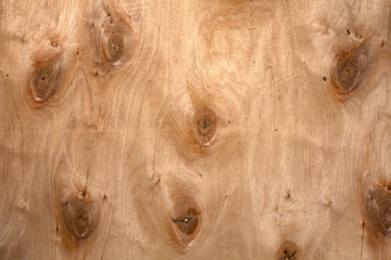 plywood texture with pattern natural, wood grain