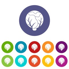 Cabbage icons color set vector for any web design on white background