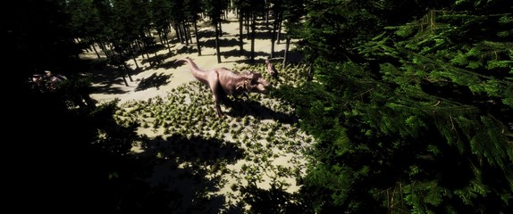 trex © Sasa Kadrijevic