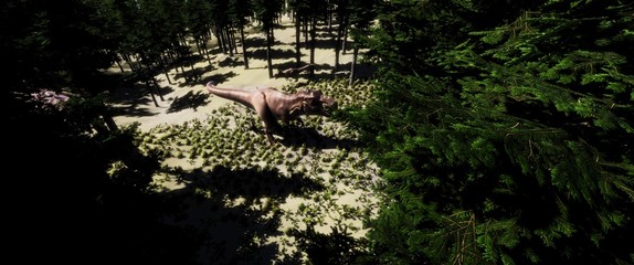 trex © Sasa Kadrijevic