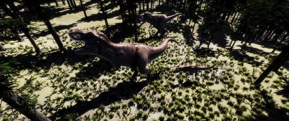 trex © Sasa Kadrijevic
